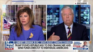 Lindsey Graham calls out Democrats’ ‘political terrorism’ as Senate GOP aims to end shutdown
