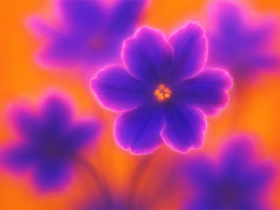 A dreamy close-up photograph of vivid violet flowers with neon magenta edges, set against a bright orange background