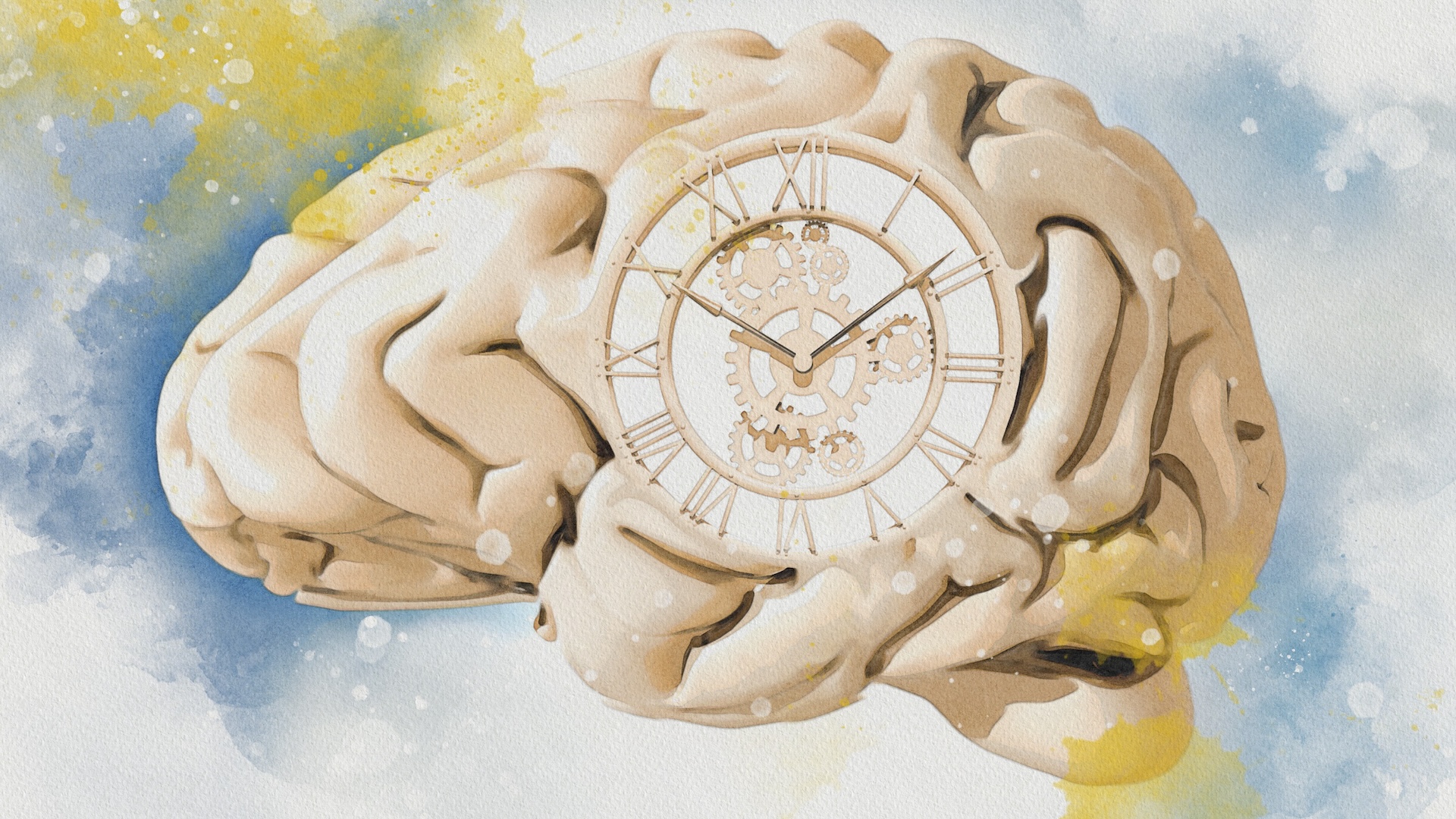 a watercolor illustration of a brain with a clock inside of it