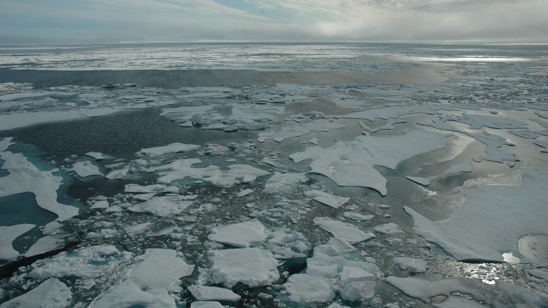 A series of white patches of ice float in a teal blue ocean with a gray sky in the background