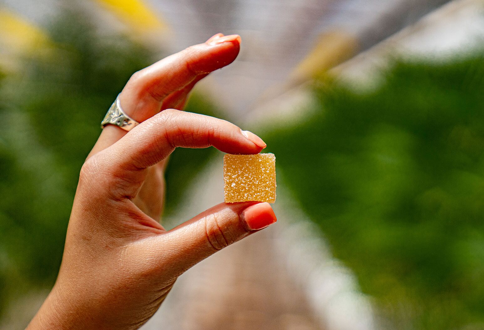 A person holding a cannabis gummy.