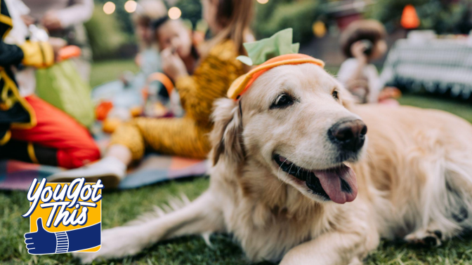 Dog laying in grass wearing pumpkin hat