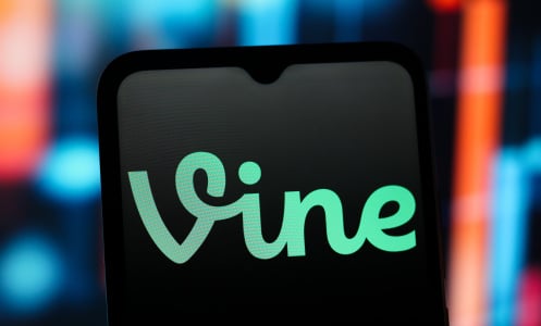 vine logo on a screen