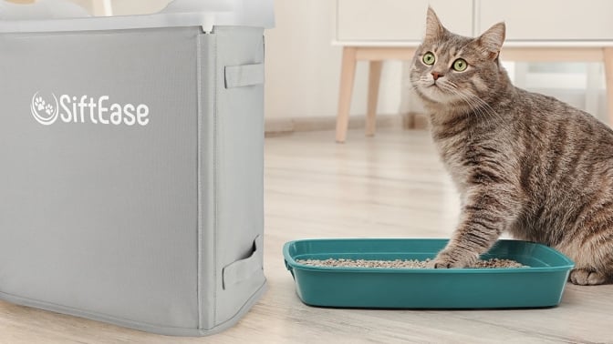 Cat with one paw in litterbox looking at siftease unit