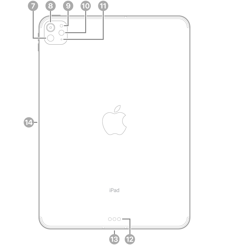 มุมมองด้านหลังของ iPad Pro รุ่น 11 นิ้ว (M4) พร้อมกับคำบรรยาย LiDAR กล้องด้านหลัง เซ็นเซอร์แสงรอบข้างด้านหลัง แฟลช และไมโครโฟนที่ด้านซ้ายบนสุด Smart Connector และช่องต่อ USB-C ที่กึ่งกลางด้านล่างสุด และตัวเชื่อมต่อแบบแม่เหล็กสำหรับ Apple Pencil ทางด้านซ้าย