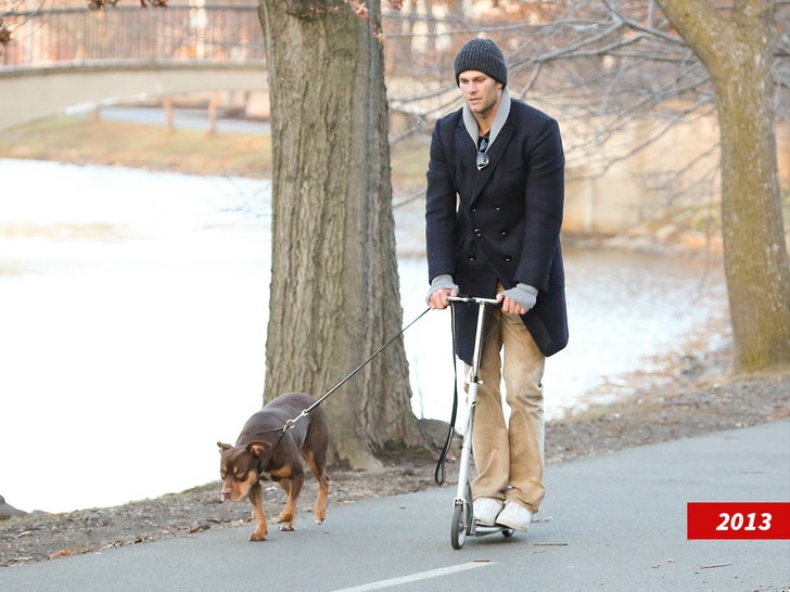 tom brady dog getty sub swipe