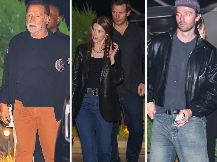The Schwarzeneggers, Maria Shriver Hit Nobu for a Family Night Out
