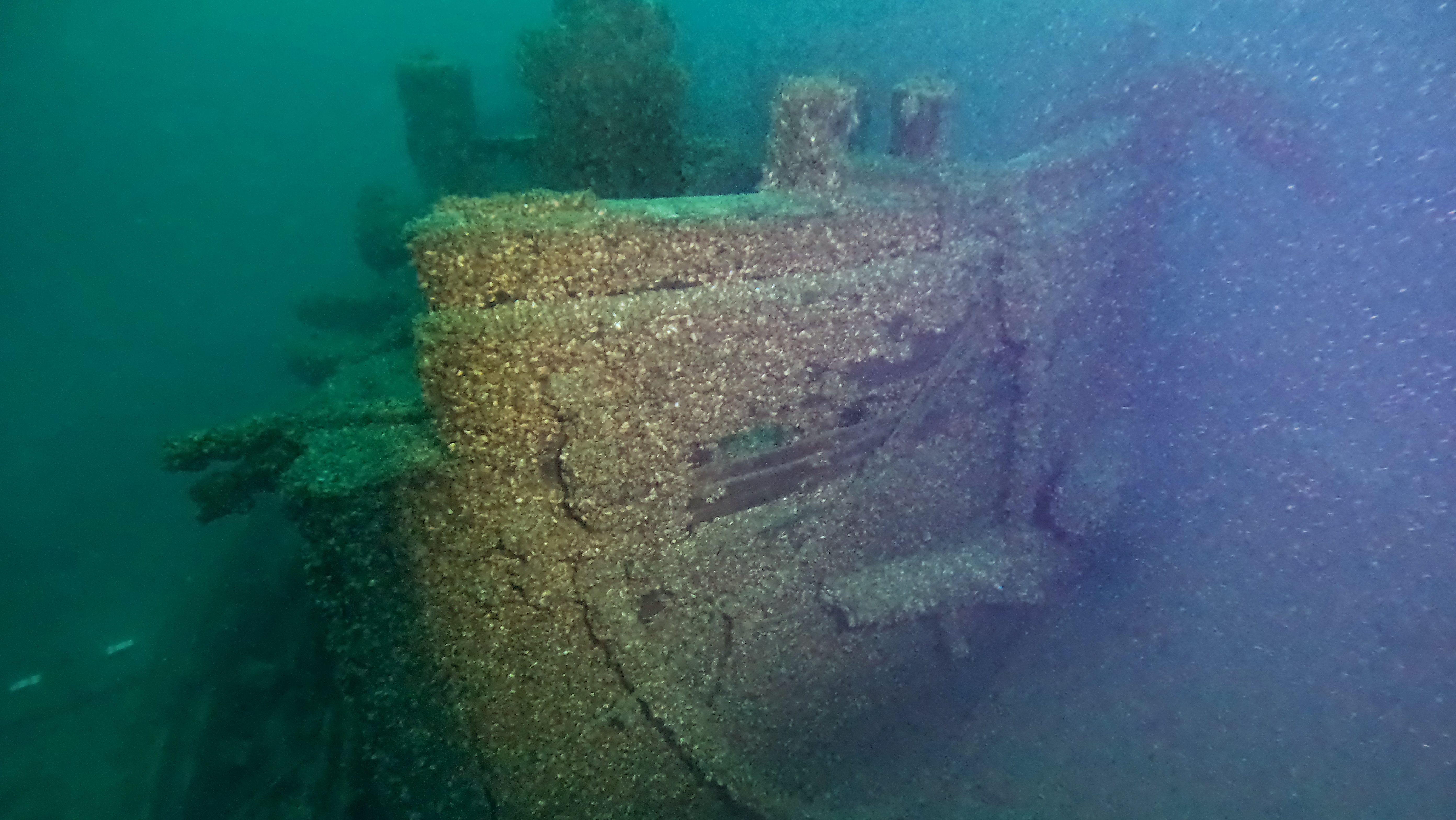 F.J. King shipwreck