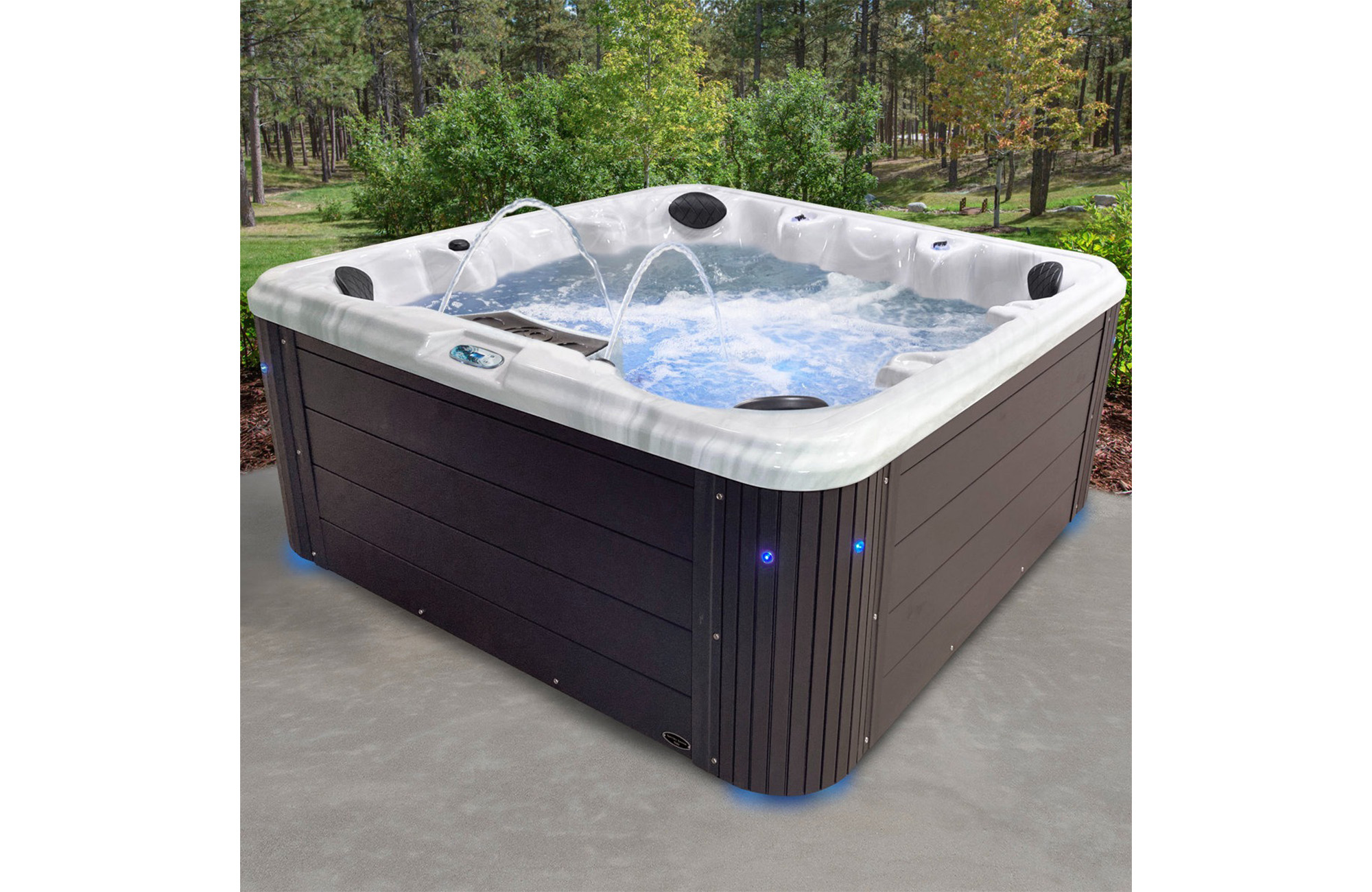 Insight 7-Person 34-Jet, 86-Port Acrylic Non-Lounger Hot Tub Spa, Stainless Steel Heater with Ozonator, LED Lighting, LED Ice Bucket and Insulated Cover Included
