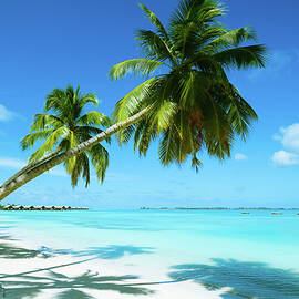 Beautiful Beach Resort by Phototalk