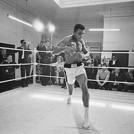 Ali In Training by R. Mcphedran