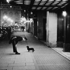 Commissionaires Dog by Kurt Hutton