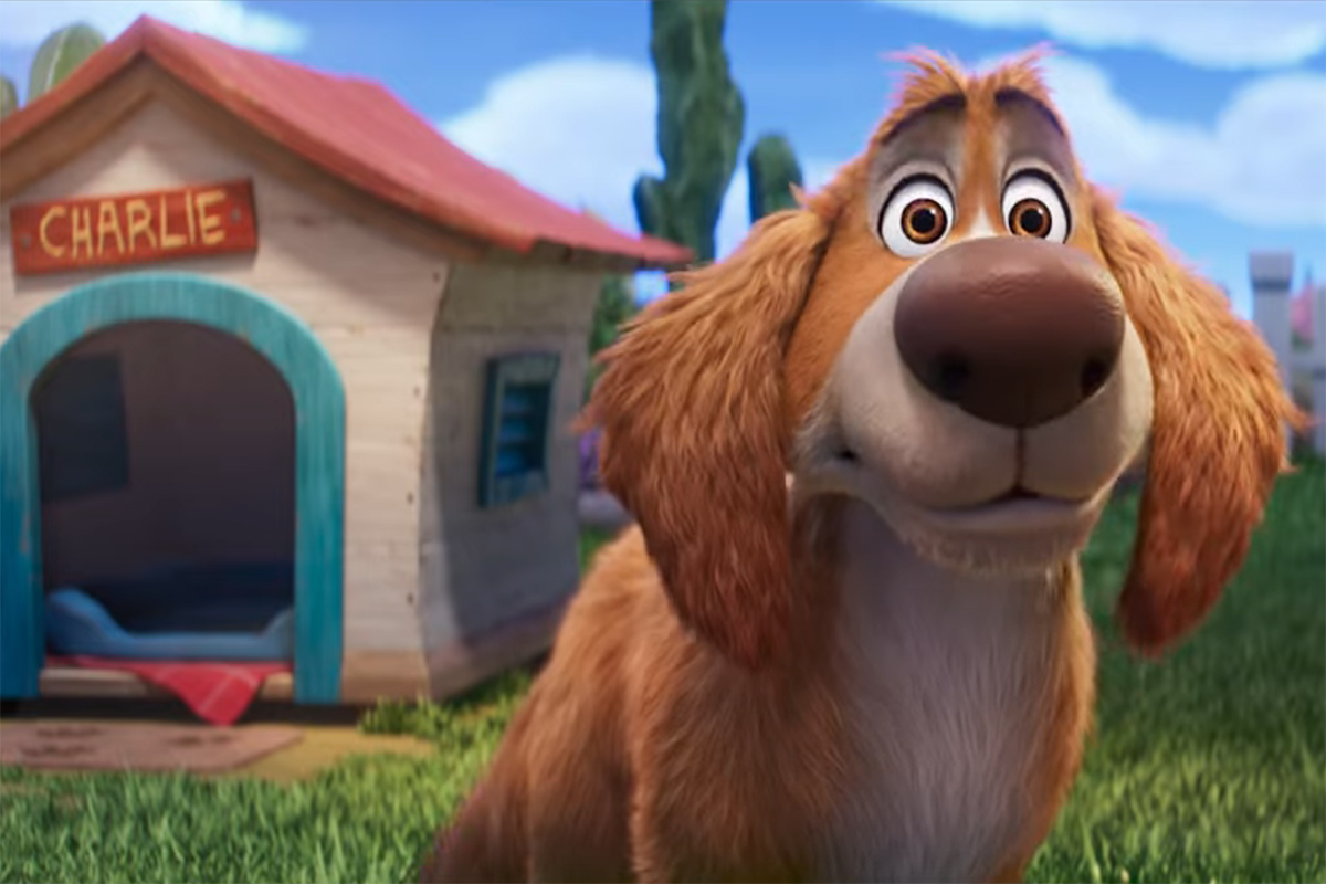 that's charlie the wonderdog bro