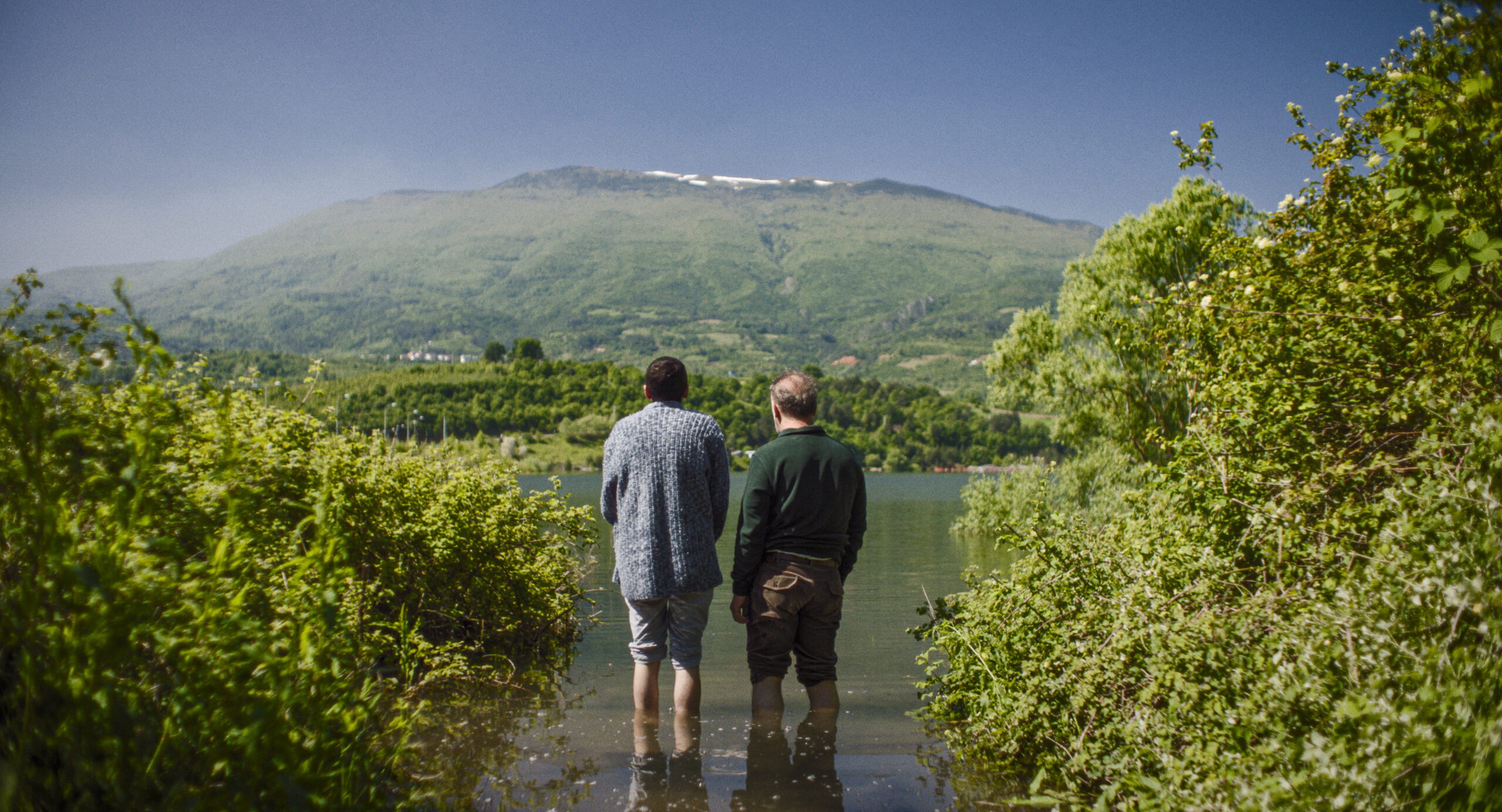 'LifeLike' film still