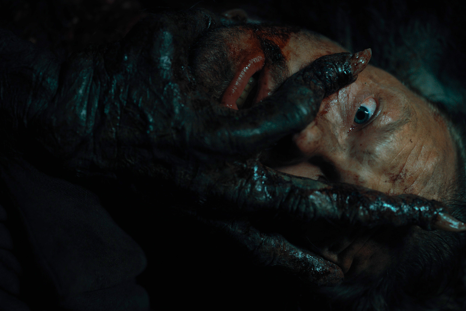 'The Last Voyage of the Demeter'