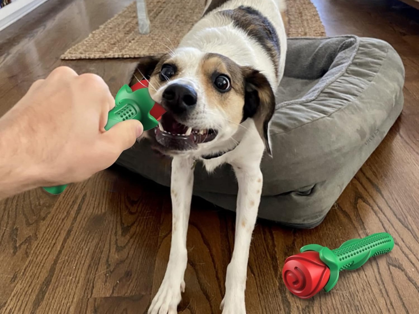 ucho Rose Chew Toy